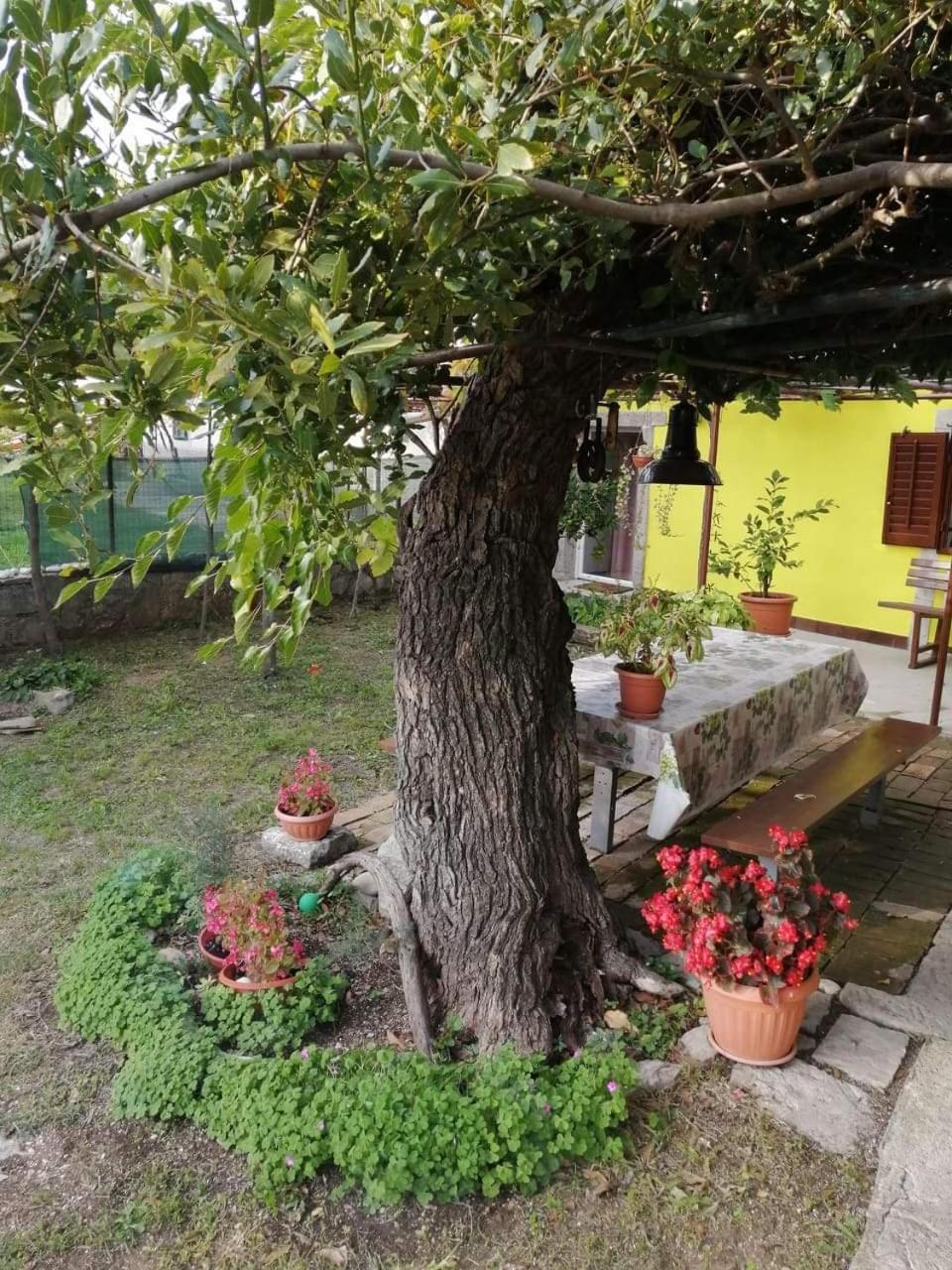 Holiday House Nono Лабин Екстериор снимка